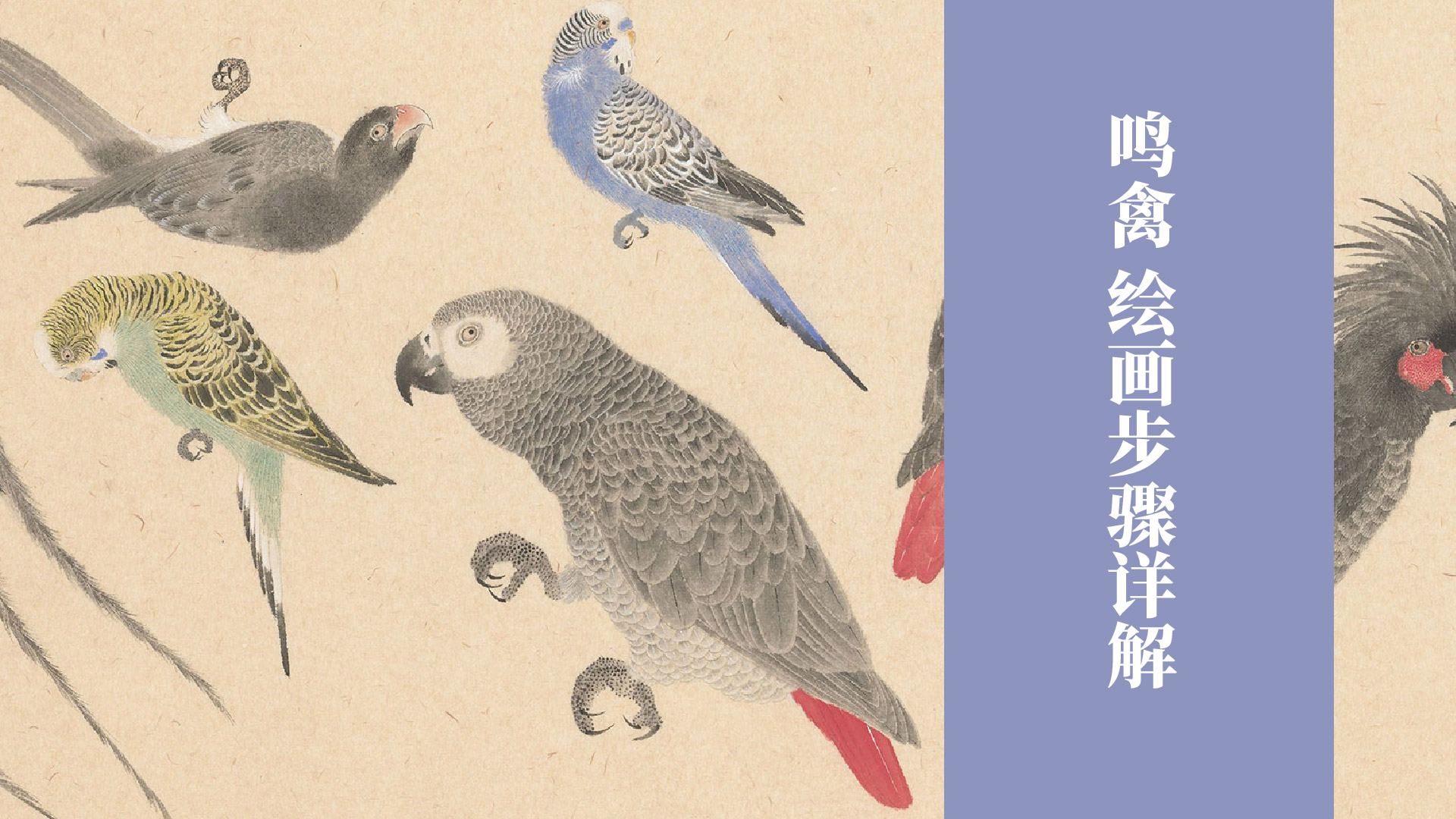 课程封面