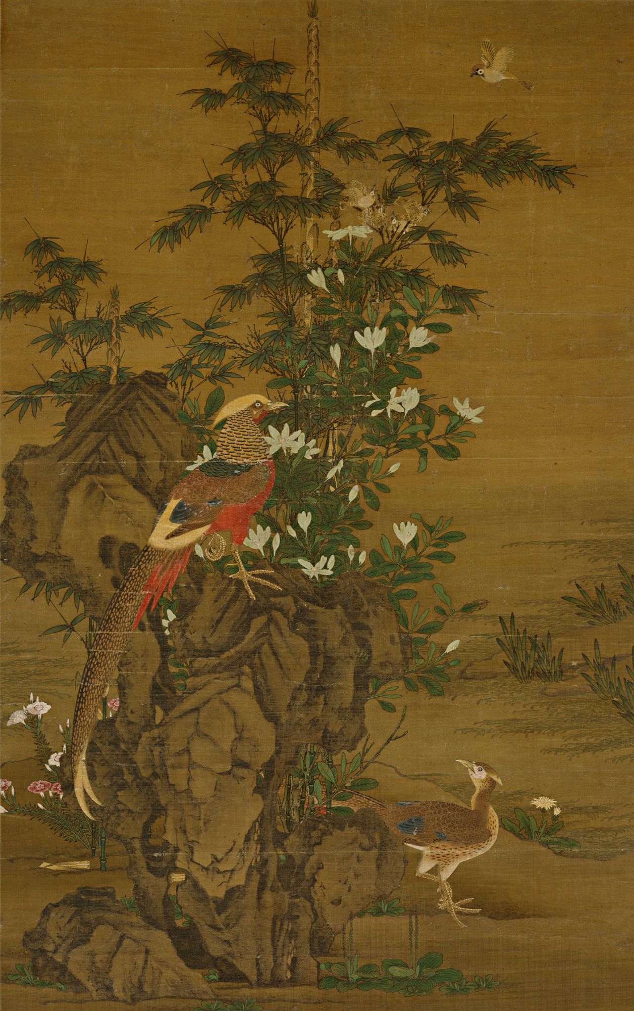 花竹锦鸡图预览图