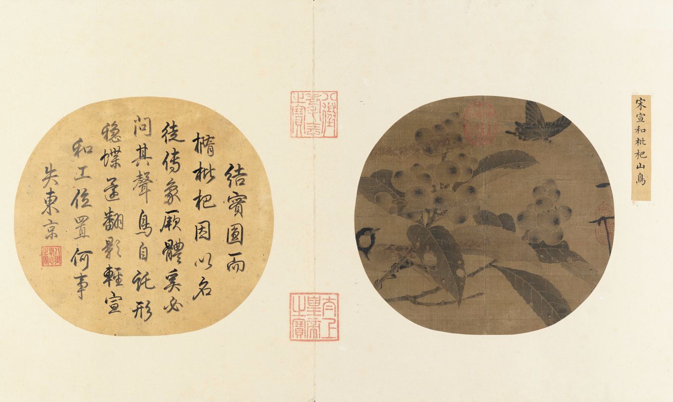 枇杷山鸟图预览图