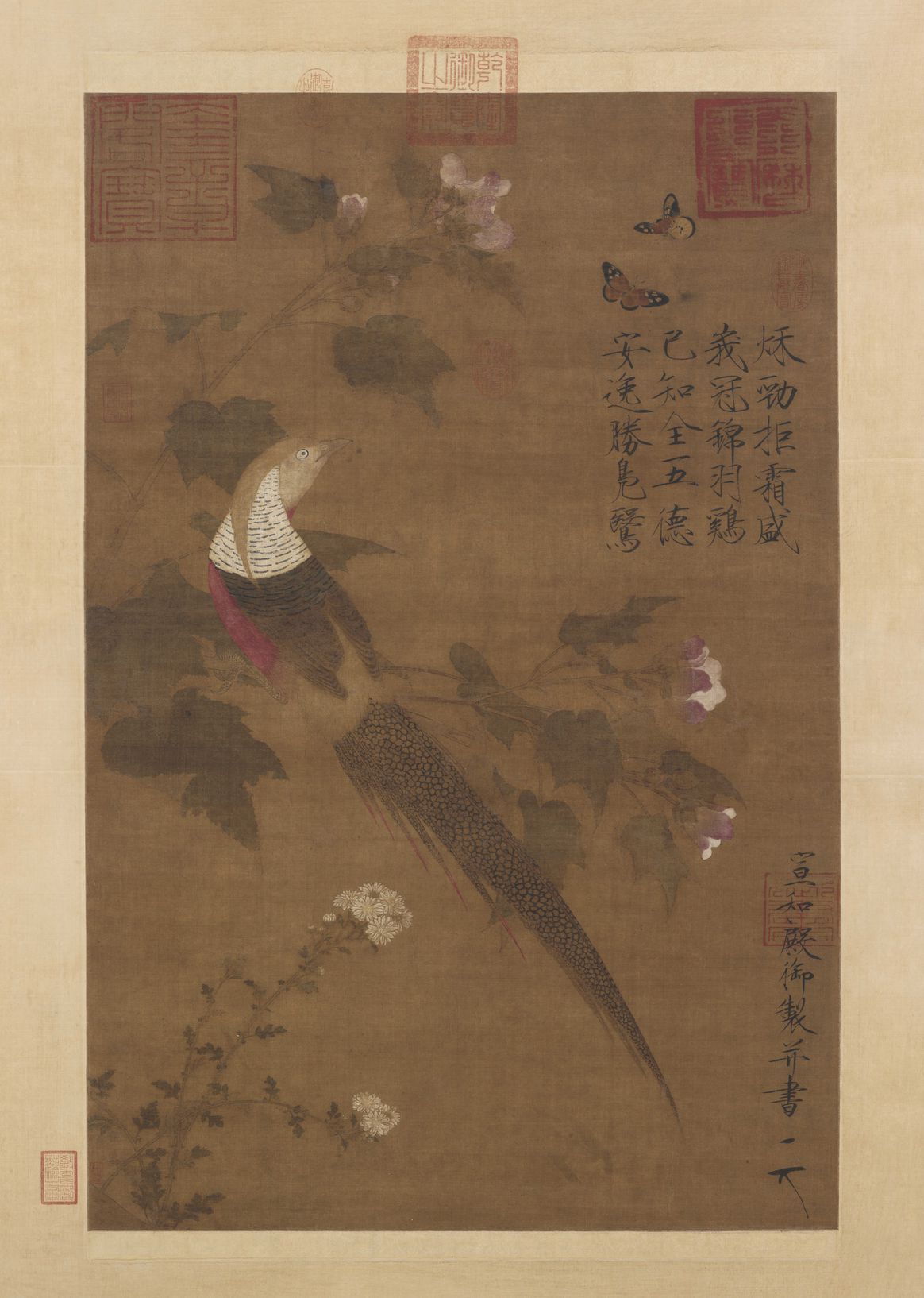 芙蓉锦鸡图预览图