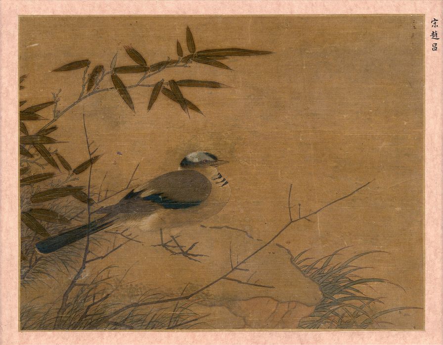 鸟图缩略图