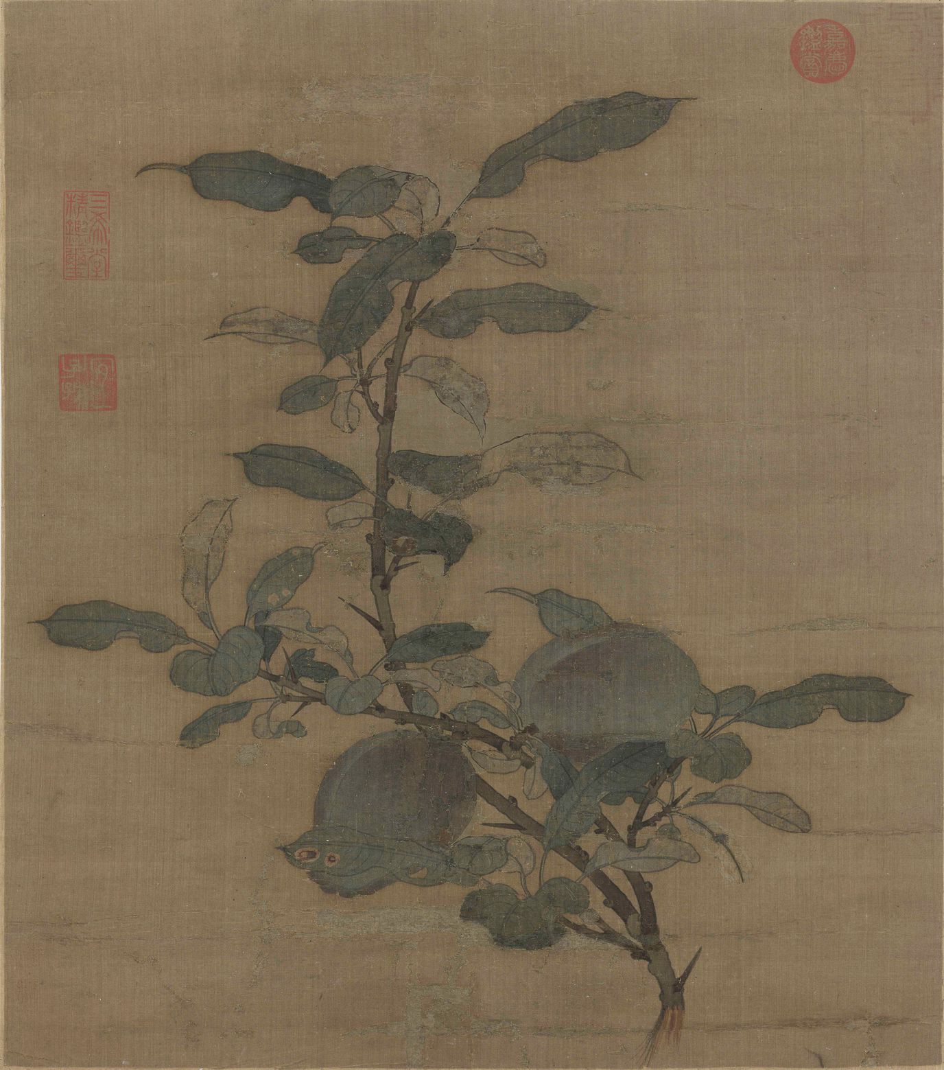 折枝果图预览图