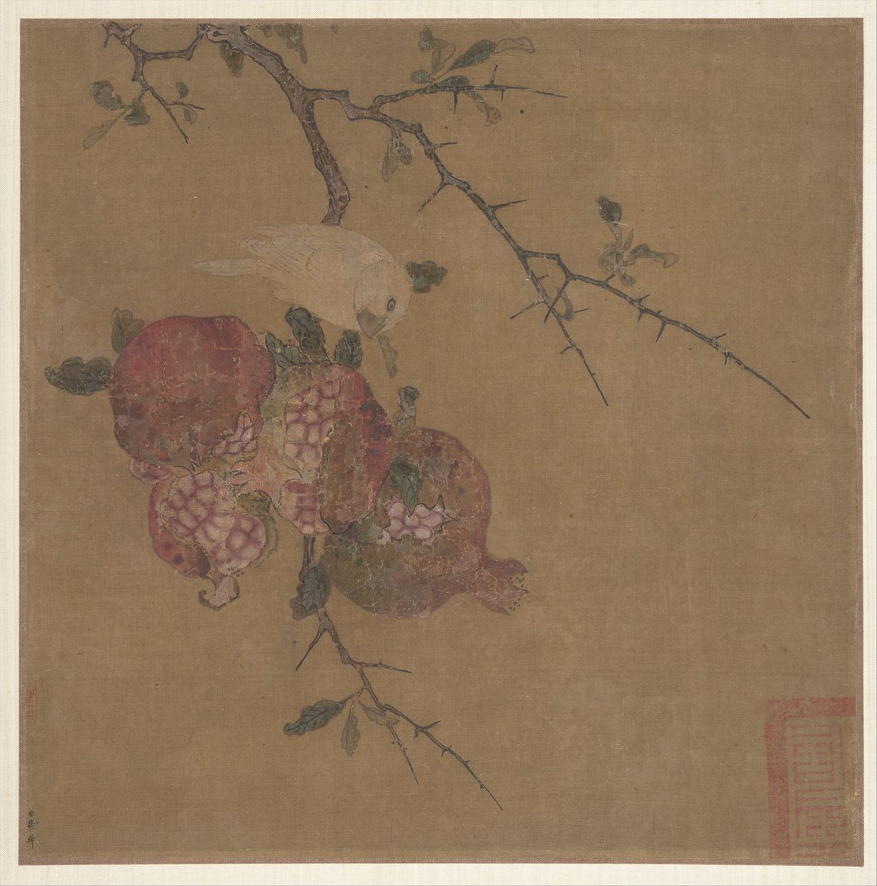 石榴蜡嘴图预览图