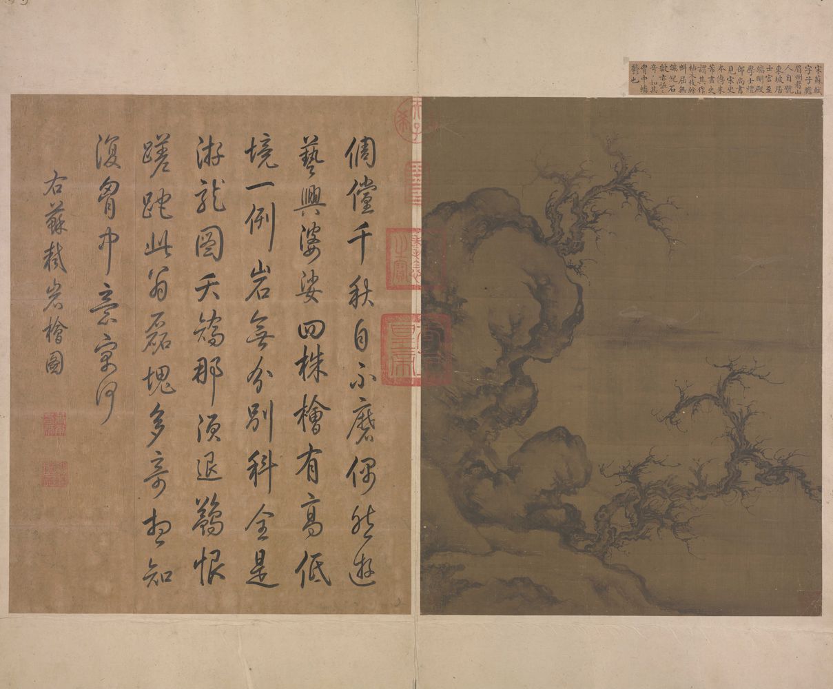 岩桧图预览图