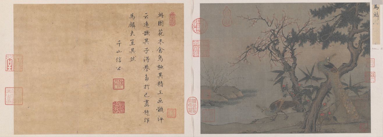 红梅孔雀图预览图