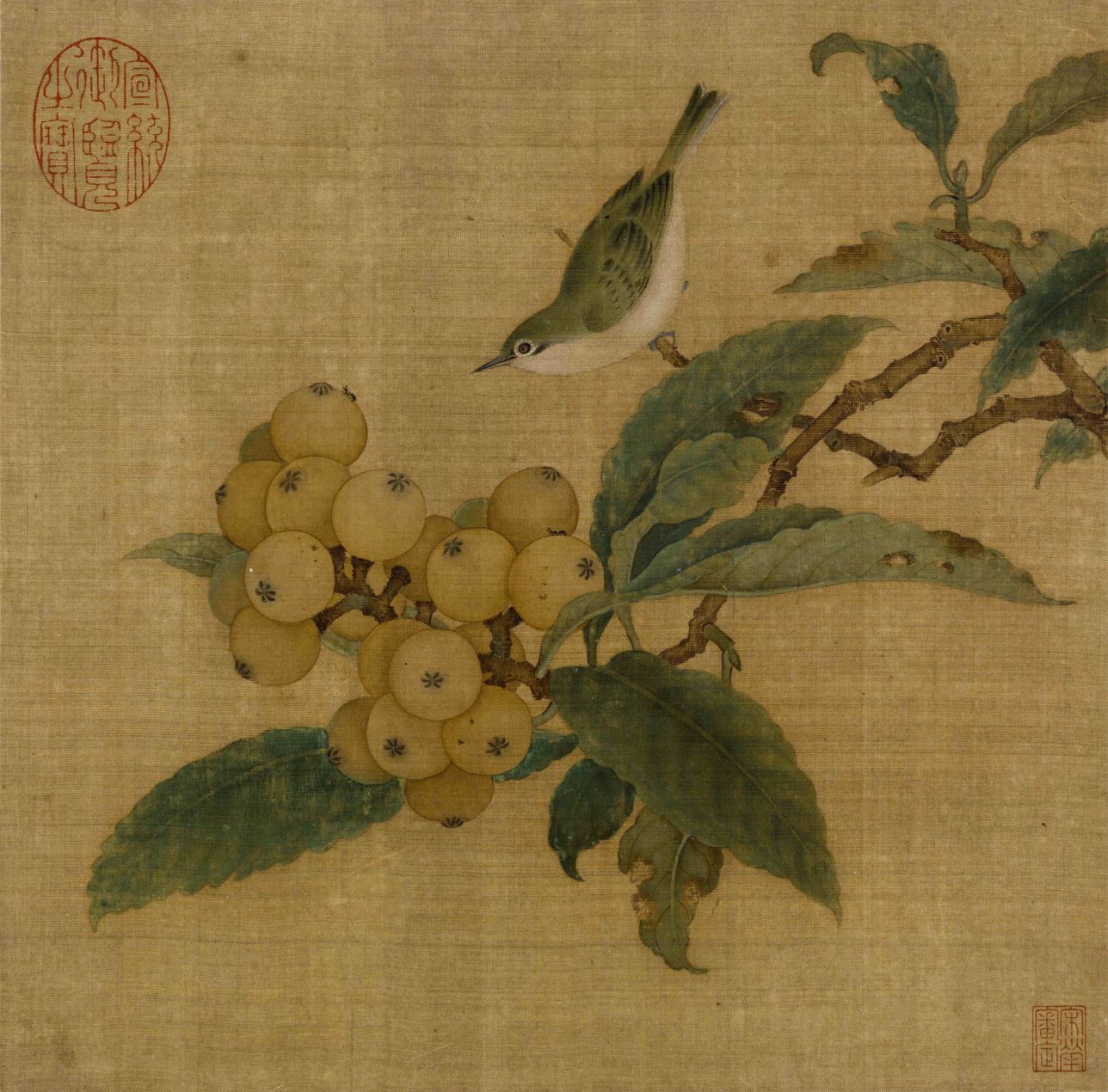 枇杷山鸟图预览图