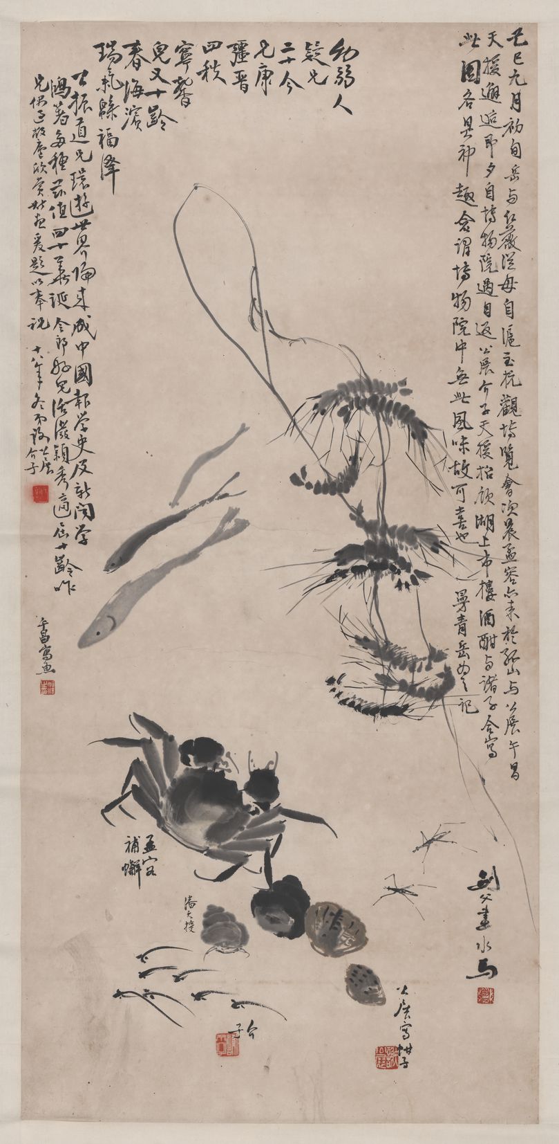 水族图预览图