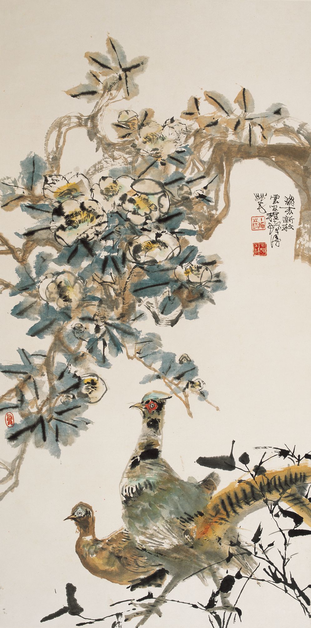 野鸡预览图