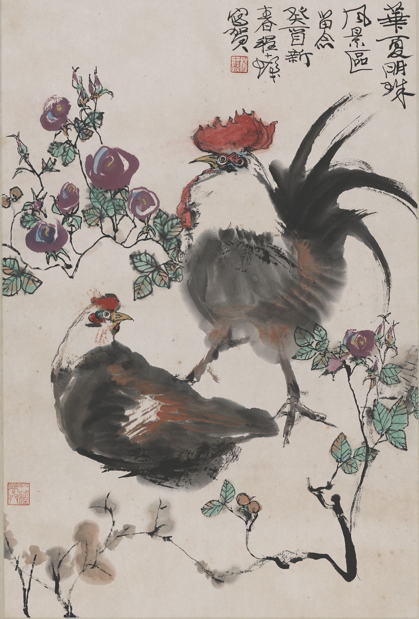 雄鸡图预览图