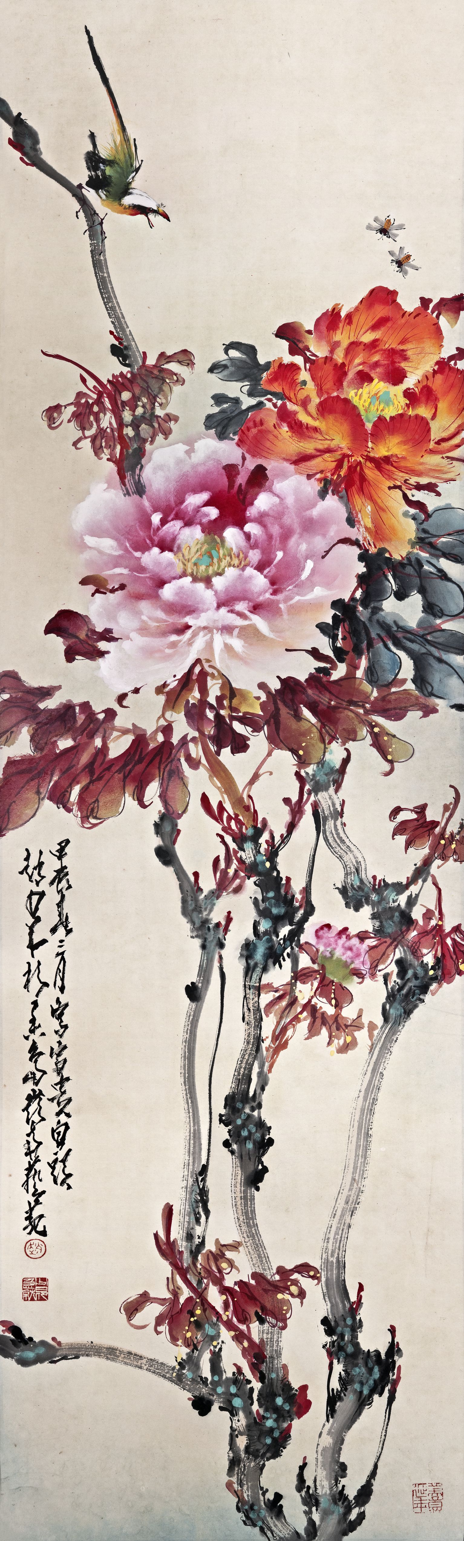 牡丹缩略图