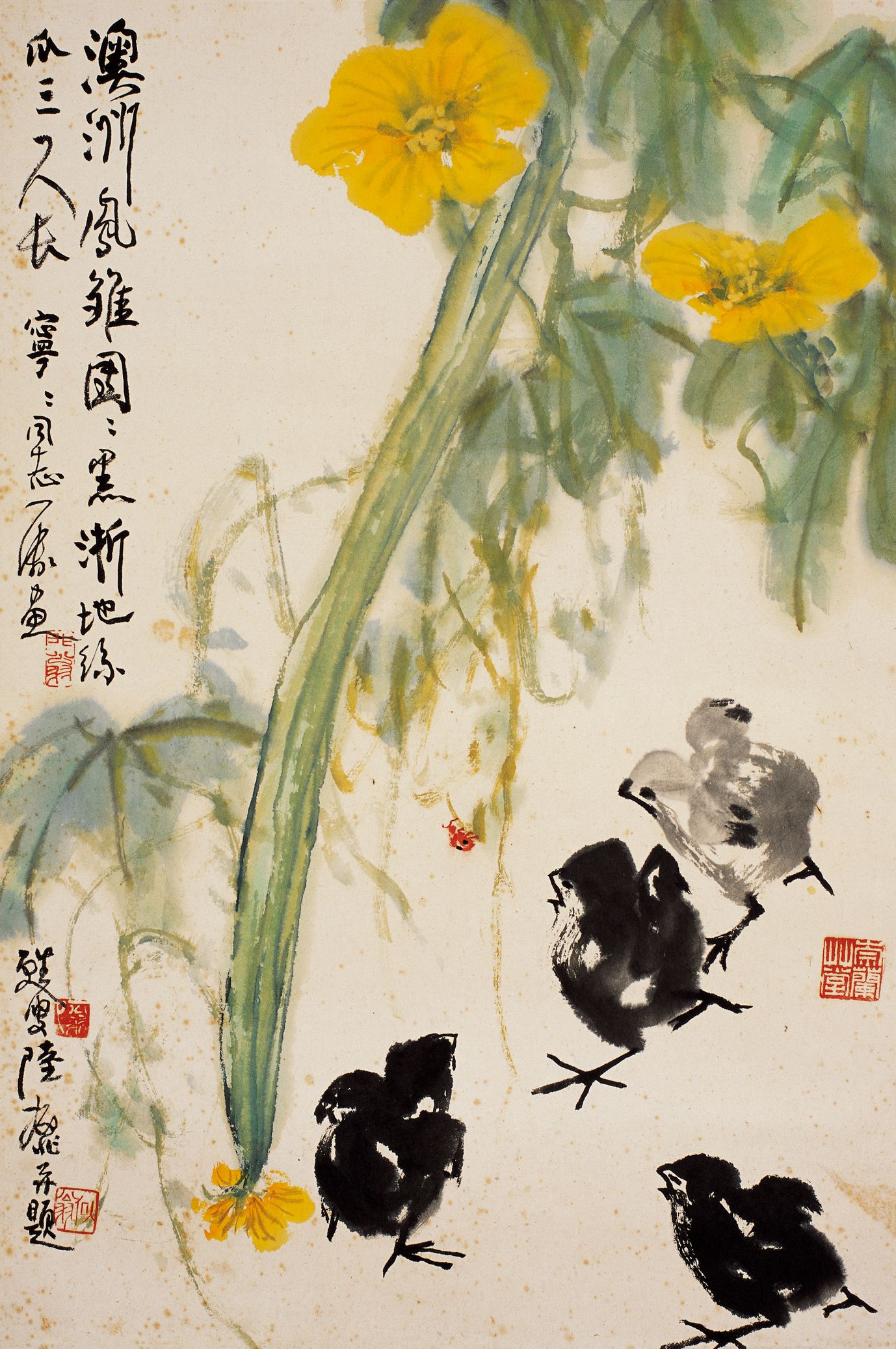 丝瓜小鸡预览图