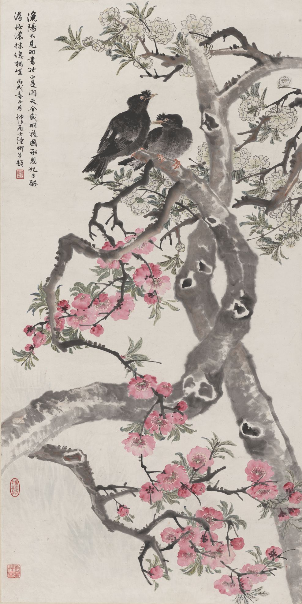 梨花八哥图轴预览图