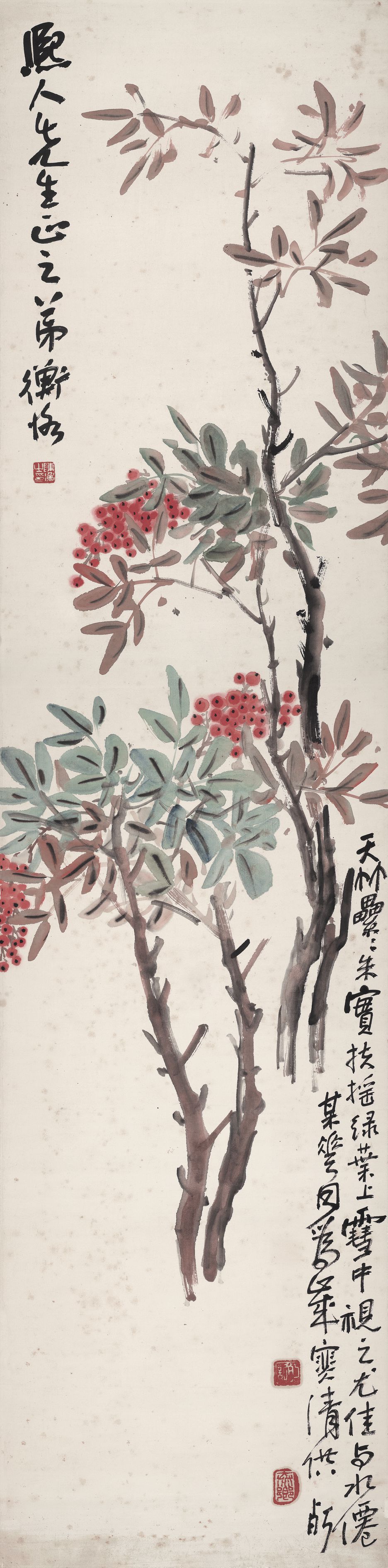 扶摇绿叶缩略图