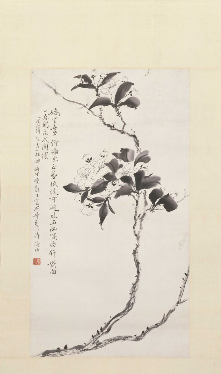 梨花图预览图