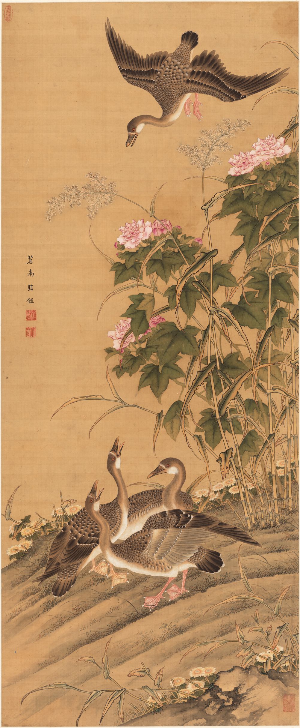 芙蓉芦雁图预览图