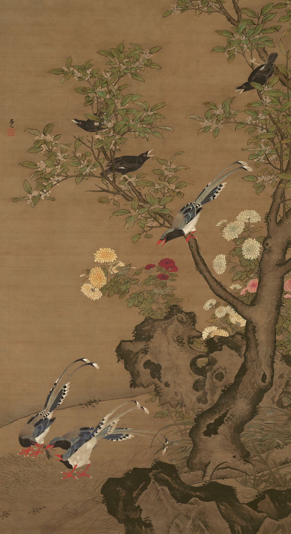 桂菊山禽图预览图