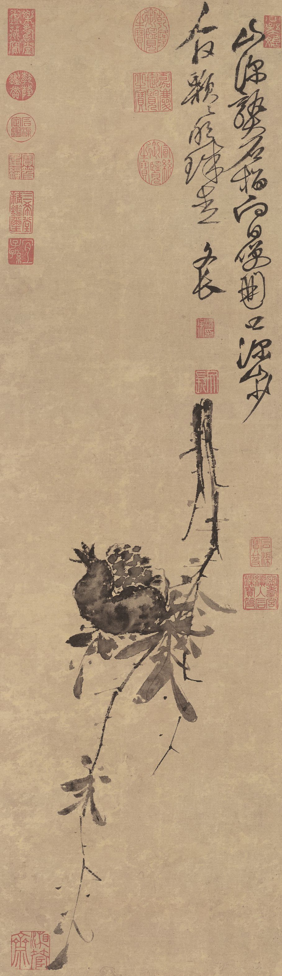 榴实图预览图