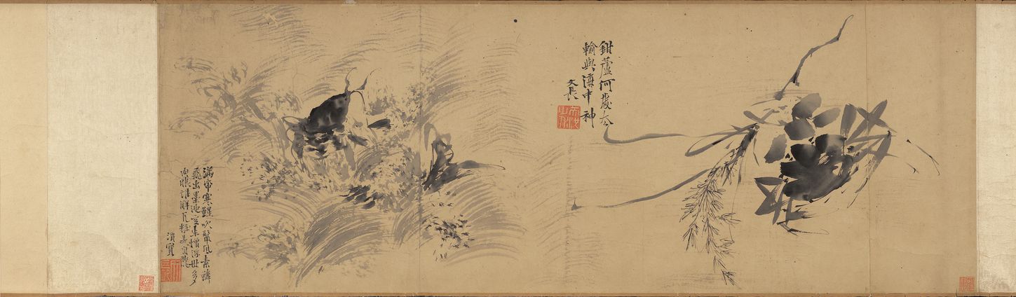 蟹鱼图预览图