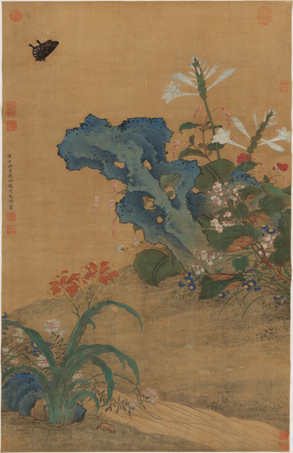 秋花蛱蝶图预览图