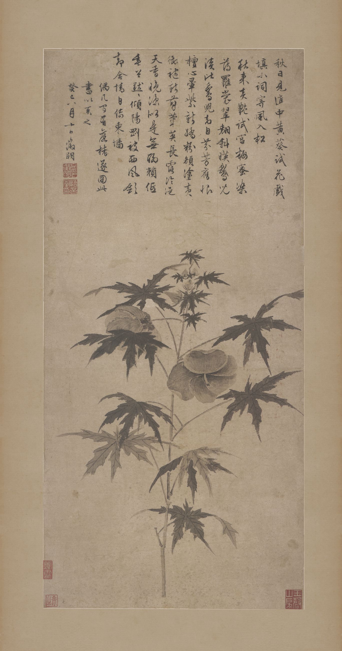 秋葵折枝图预览图