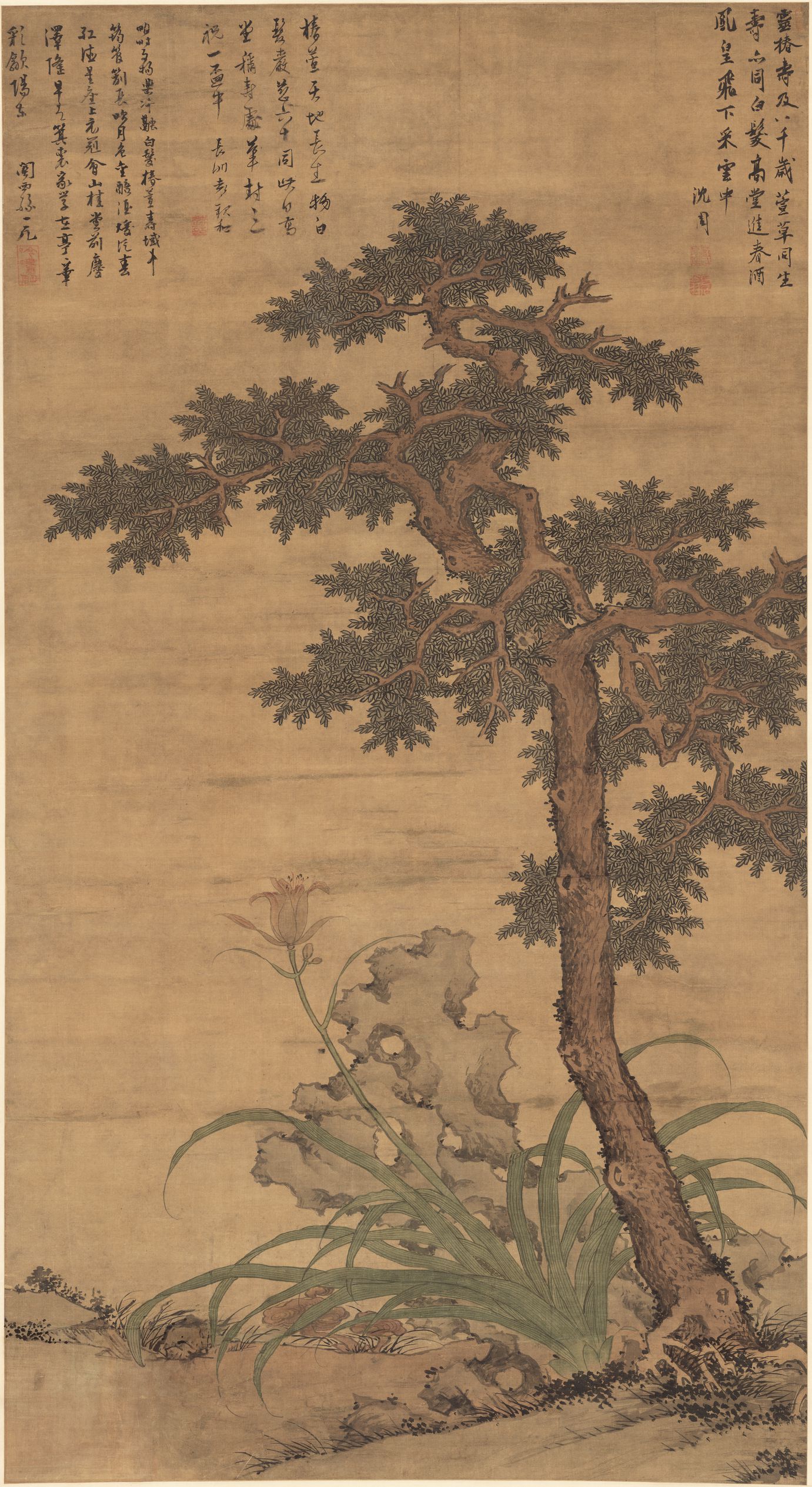 椿萱图预览图
