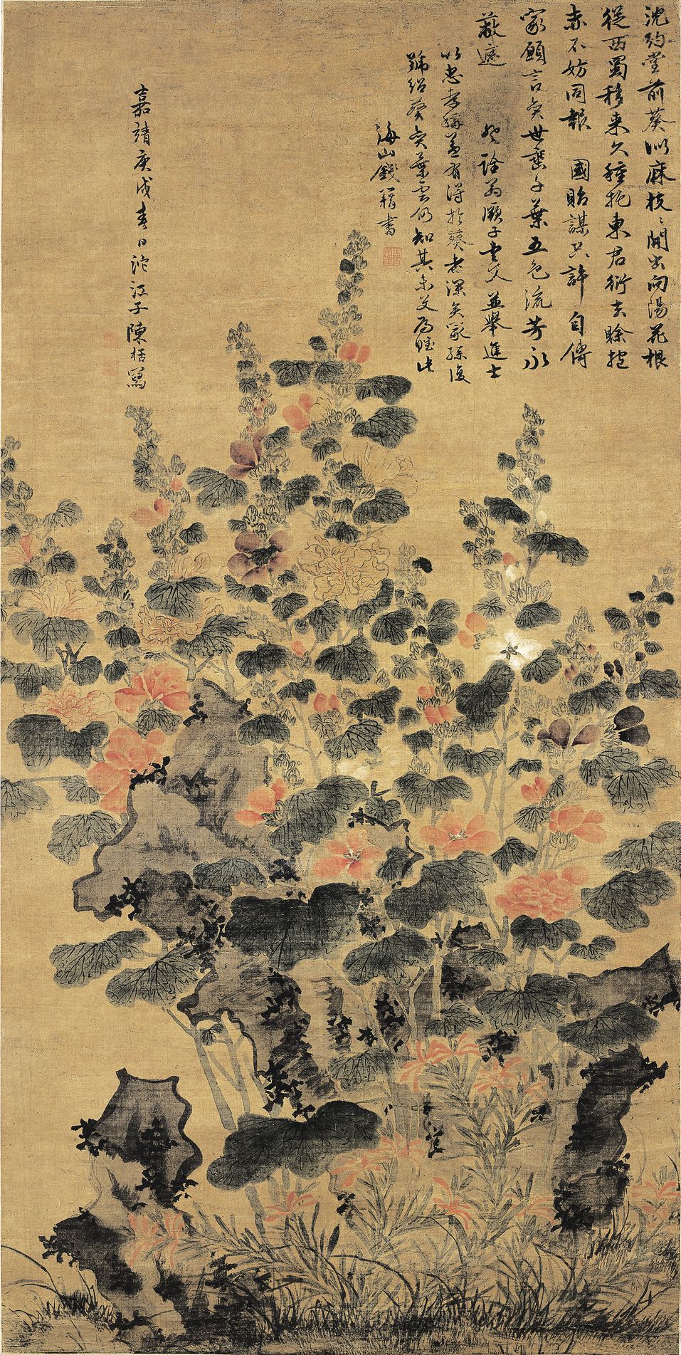 蜀葵图预览图