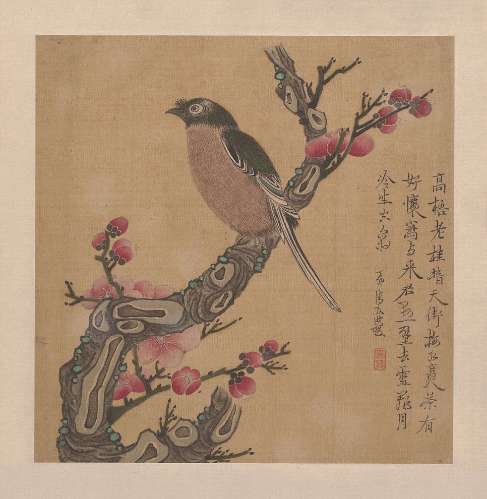 梅花小鸟预览图