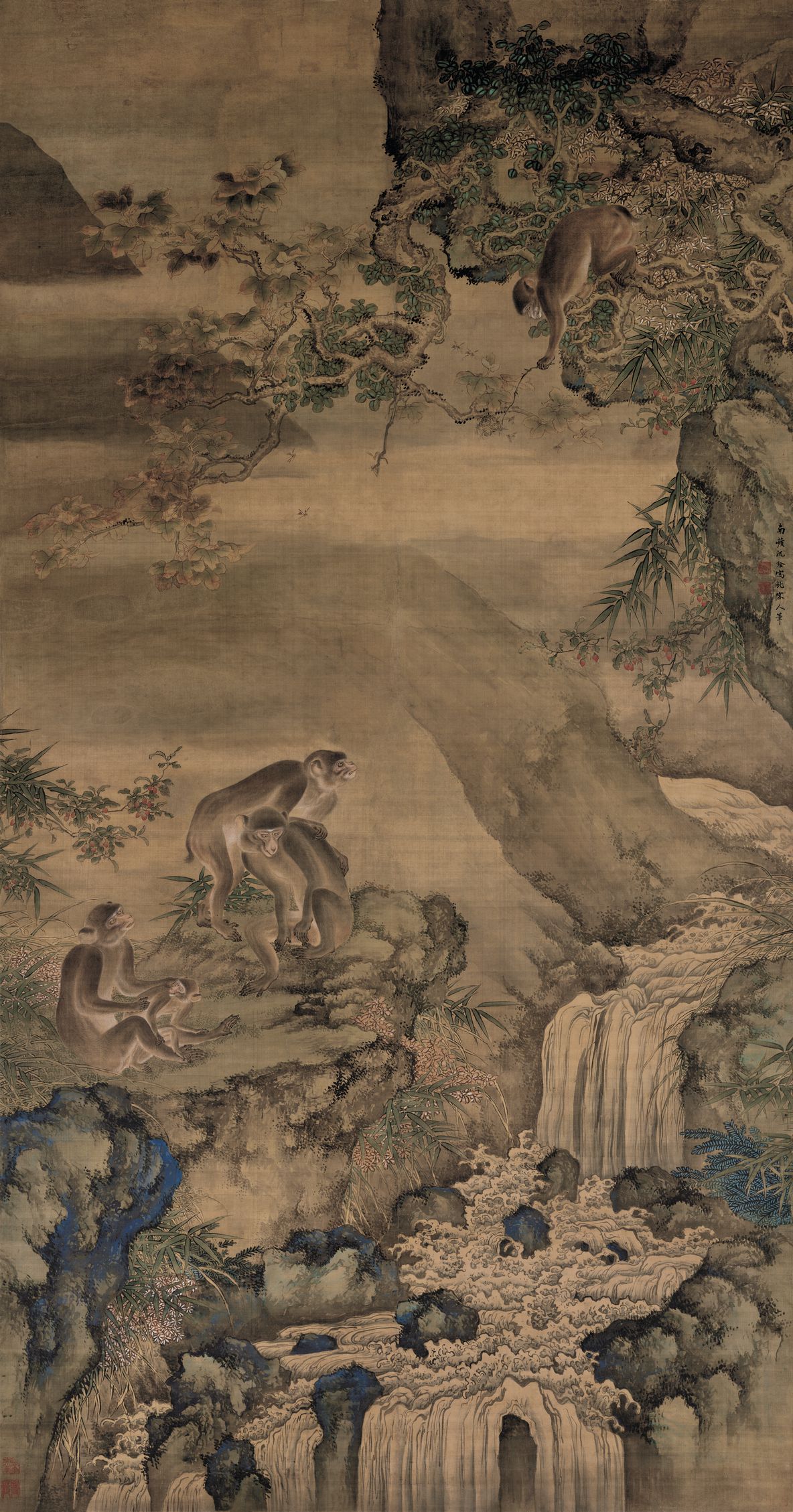 蜂猴图预览图