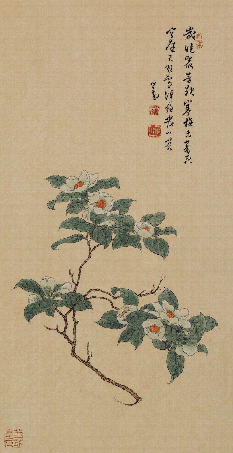 山茶图预览图