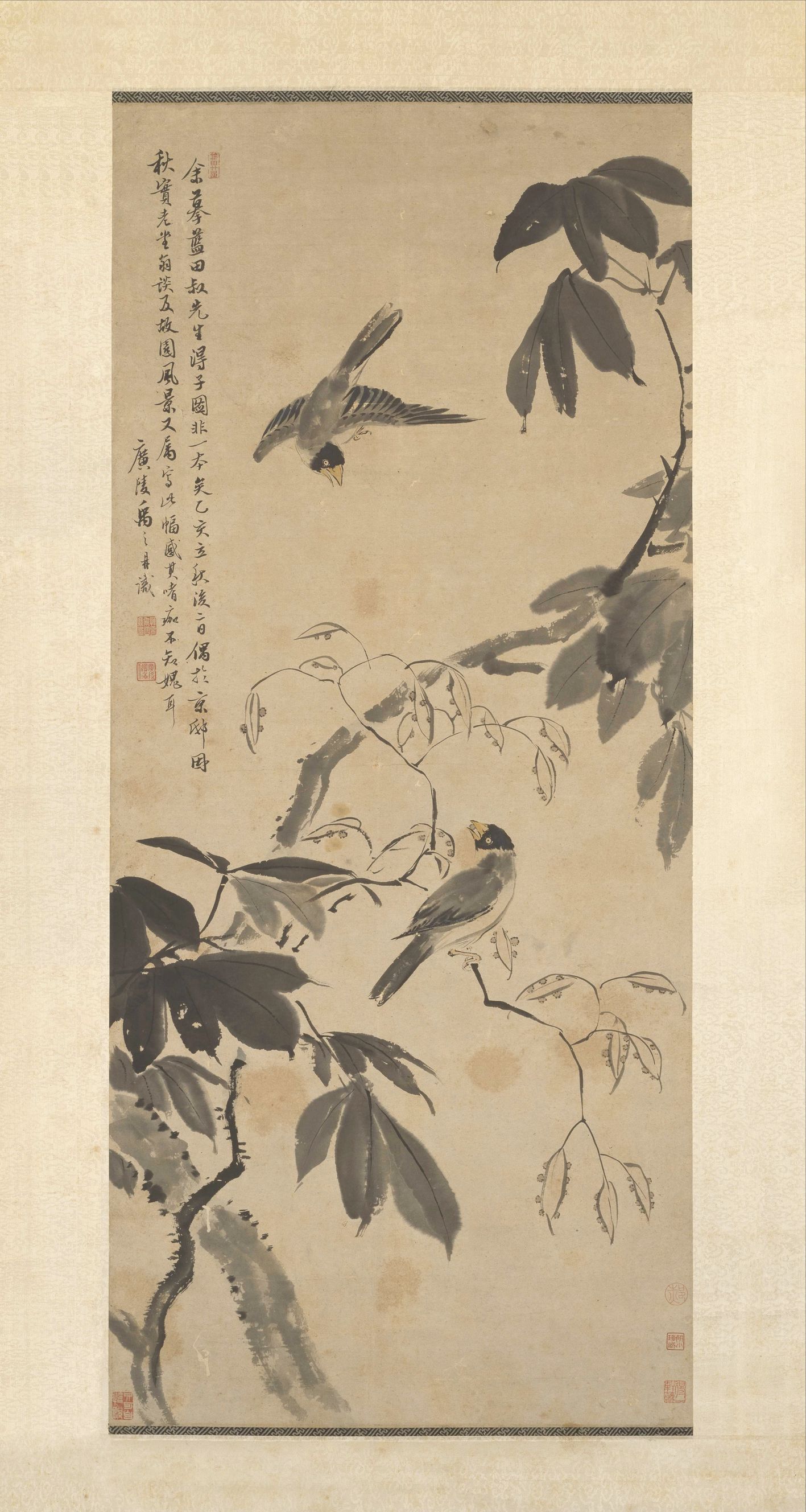 桐禽图预览图