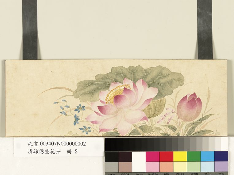 莲花缩略图