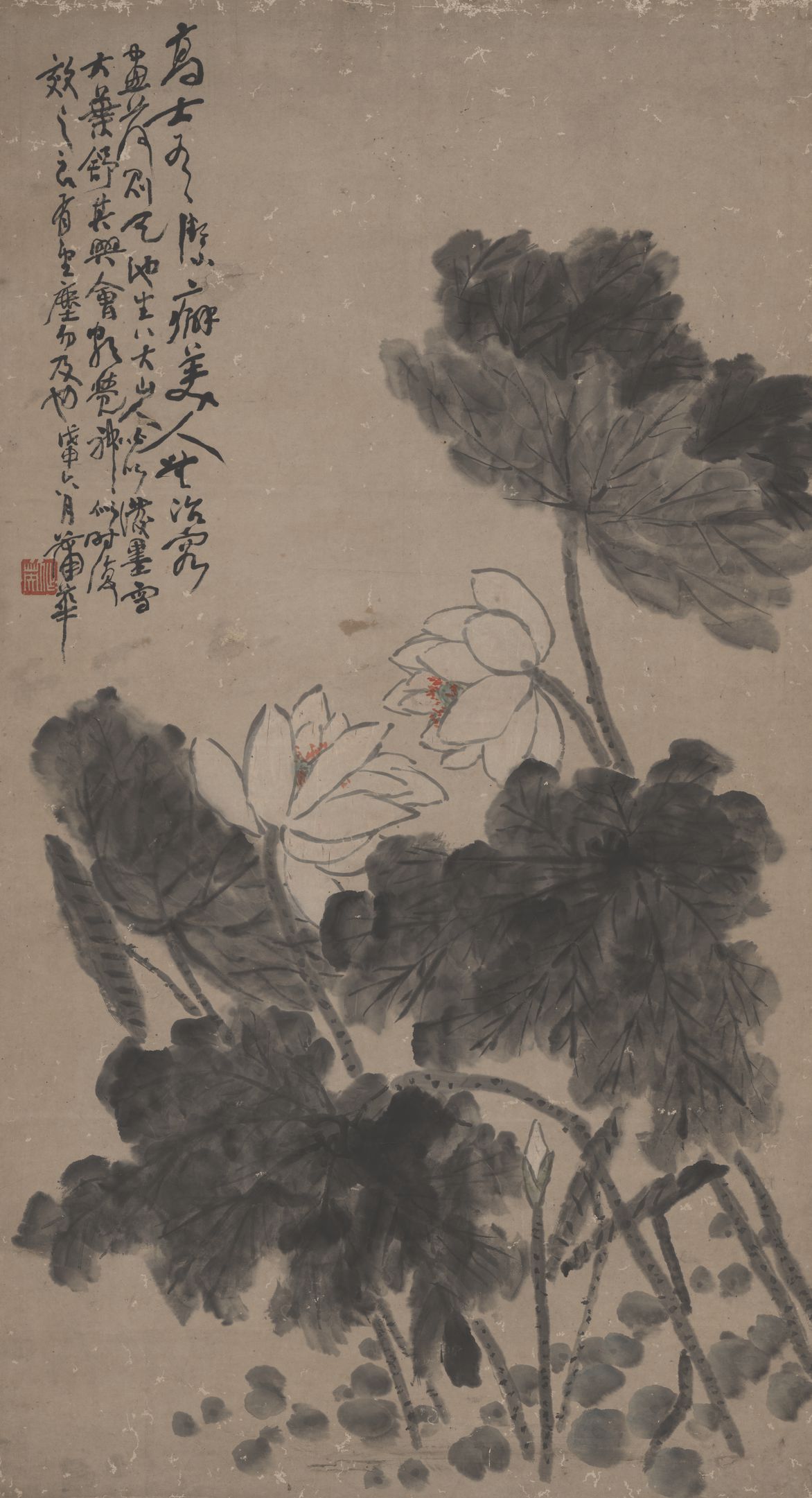 荷花图轴预览图