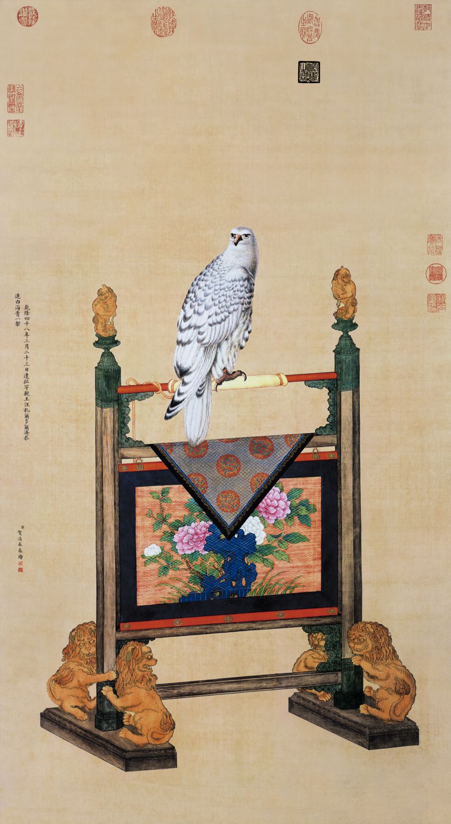 白海青缩略图