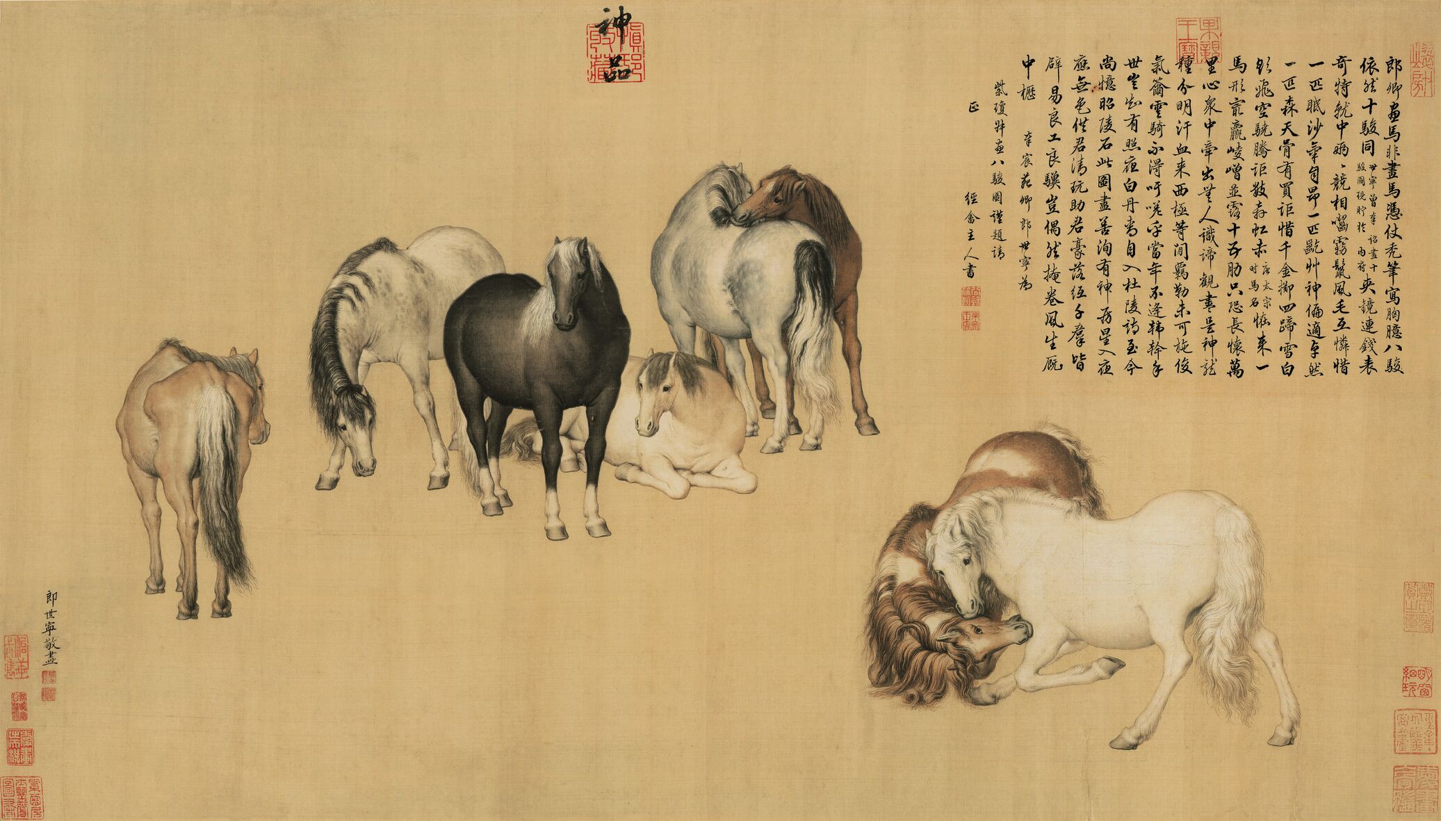 八骏图预览图