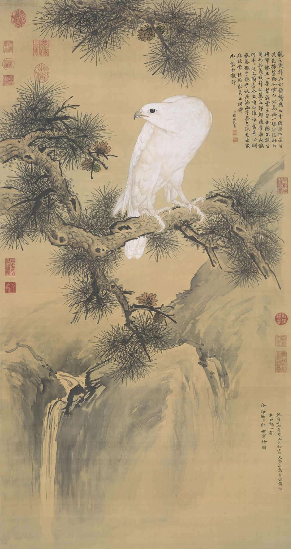 白鹘图缩略图