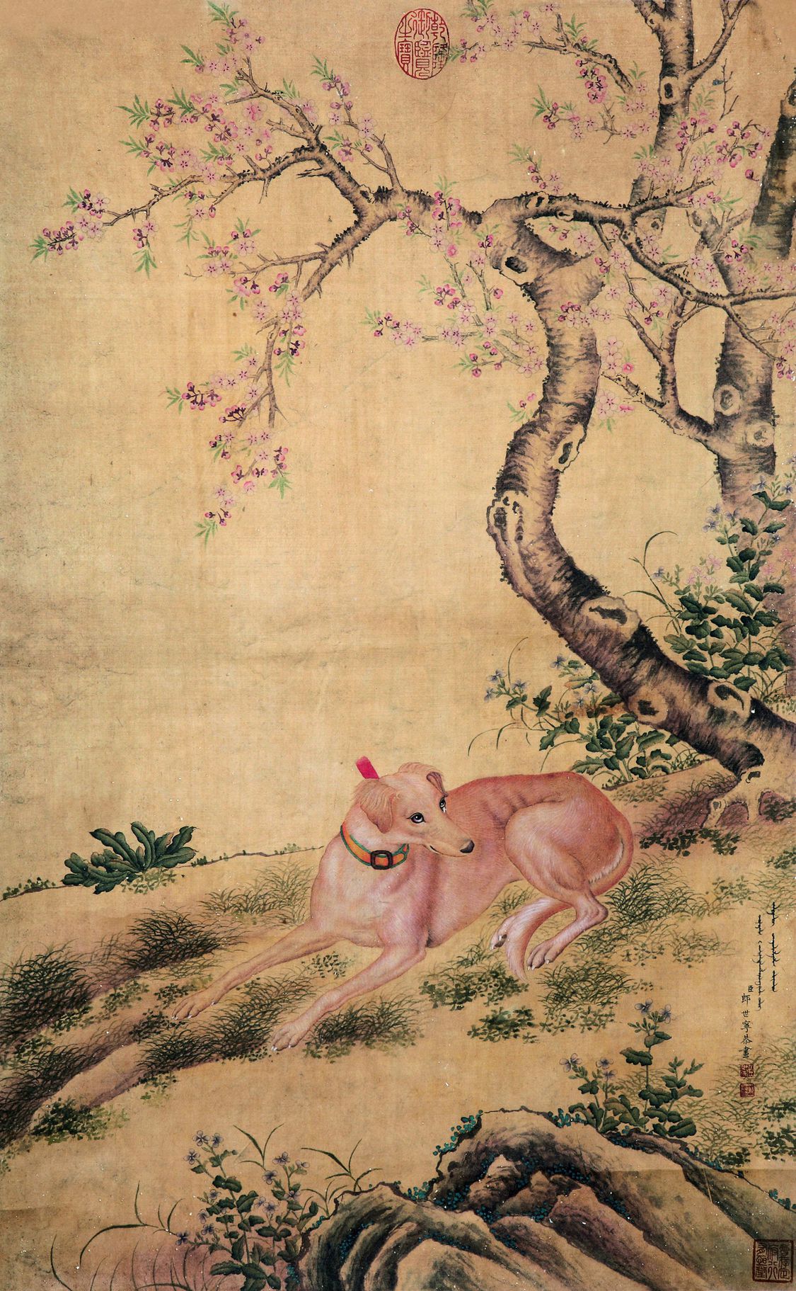 睒星狼预览图