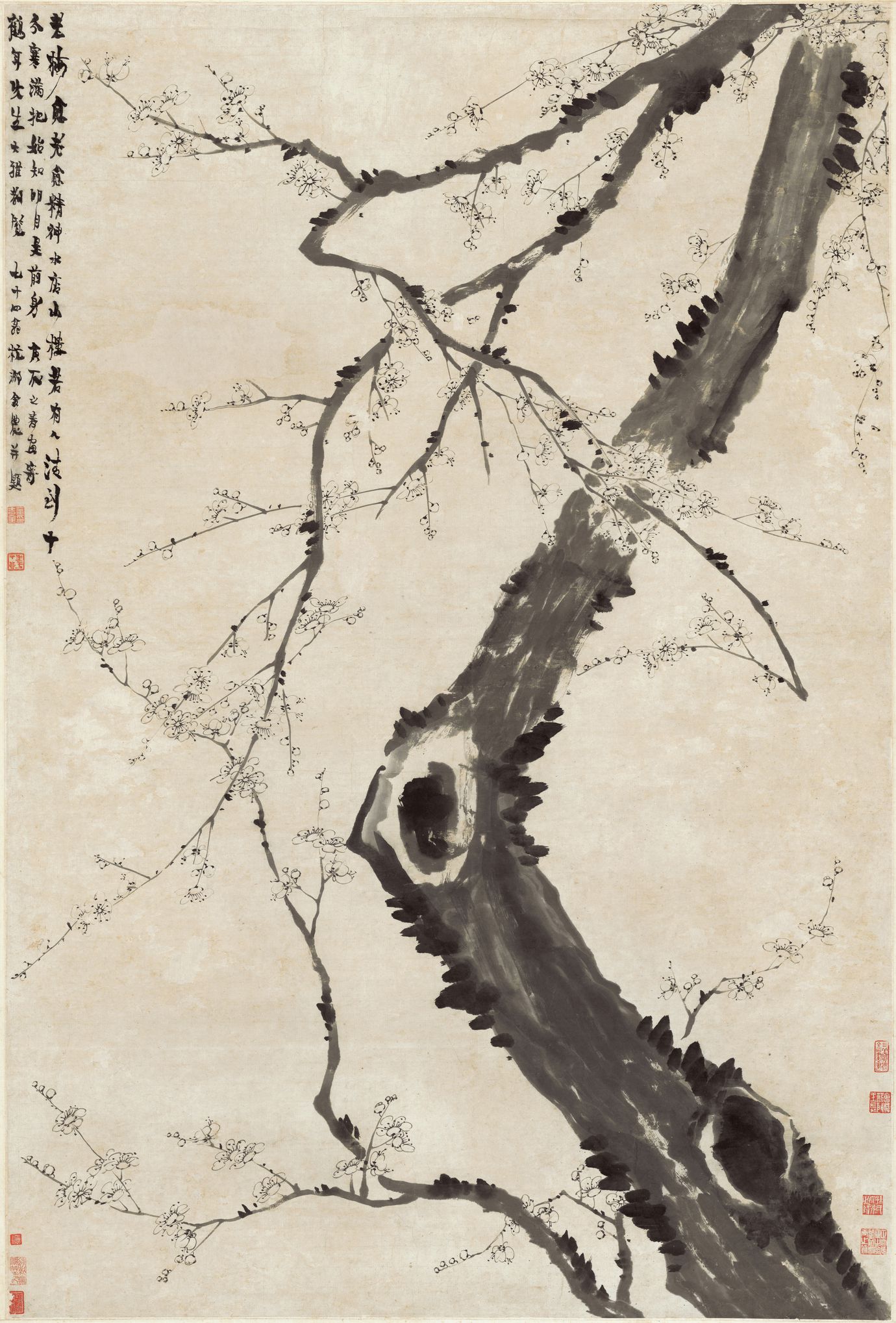 梅花图预览图
