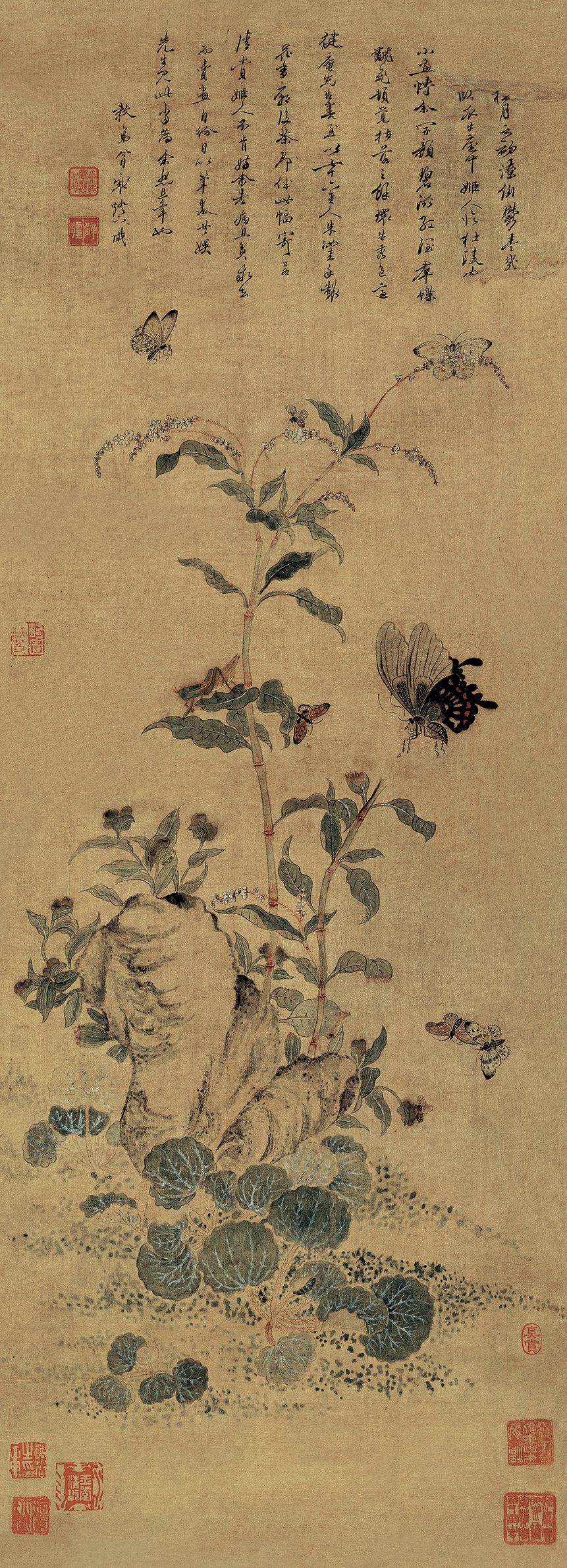 花蝴蝶图缩略图