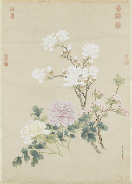 春花三种图预览图