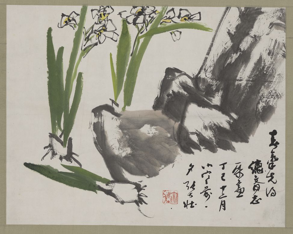 水仙花缩略图