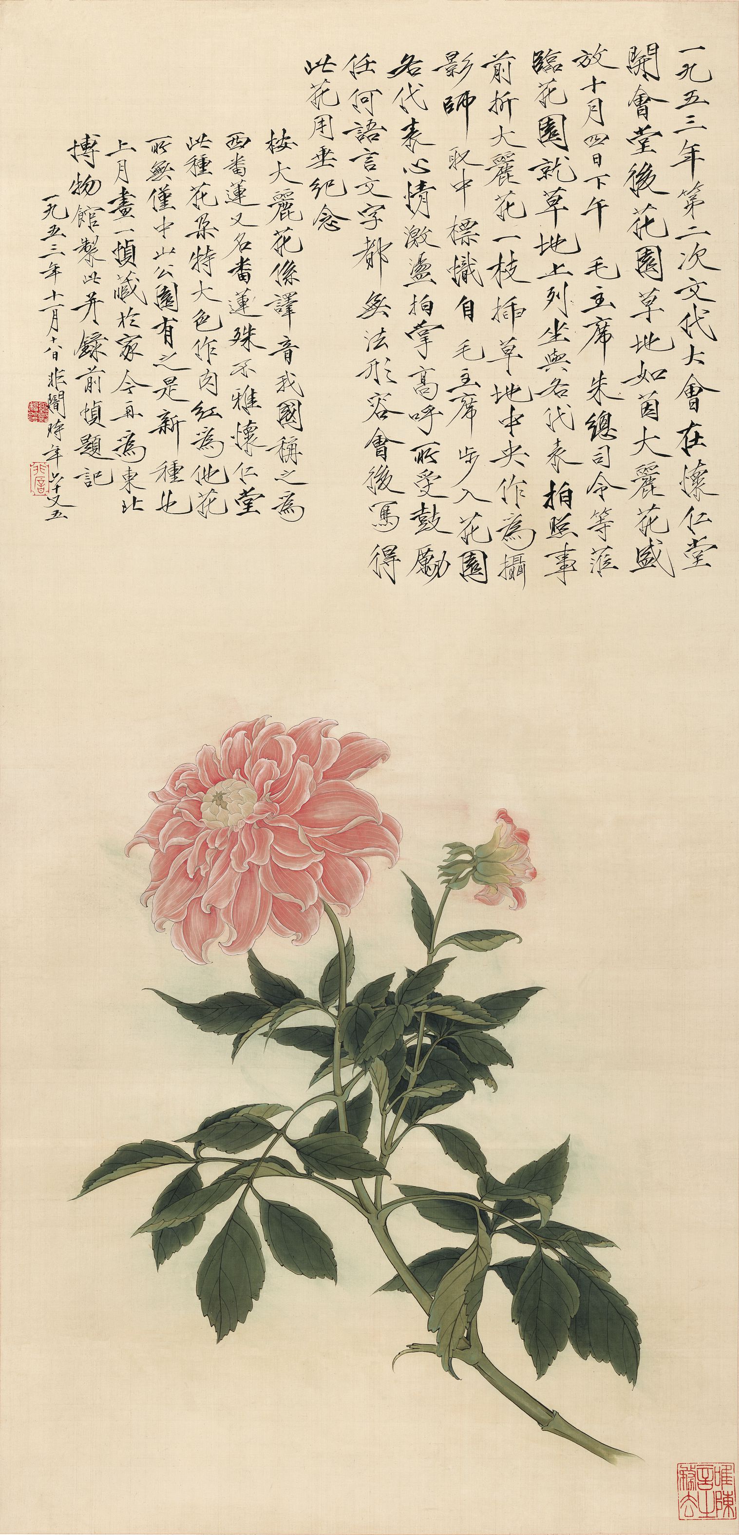 大丽花预览图