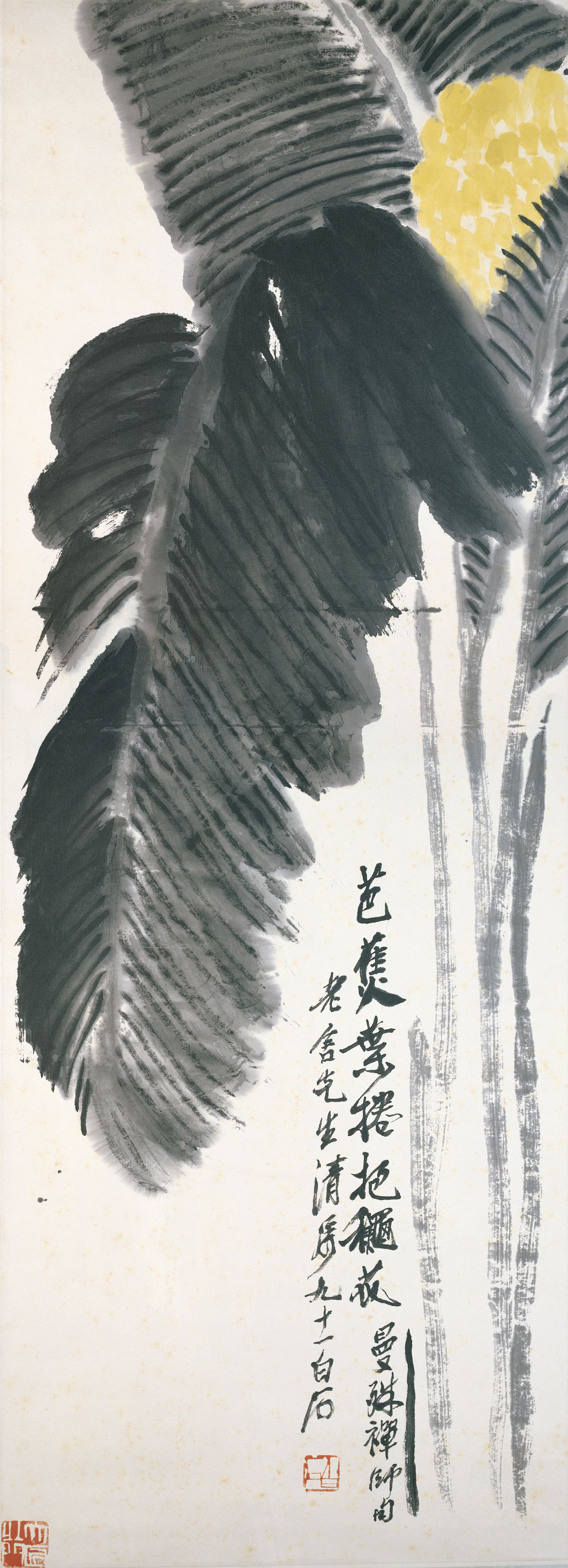 芭蕉图预览图