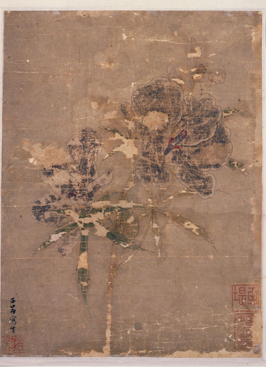葵花图预览图