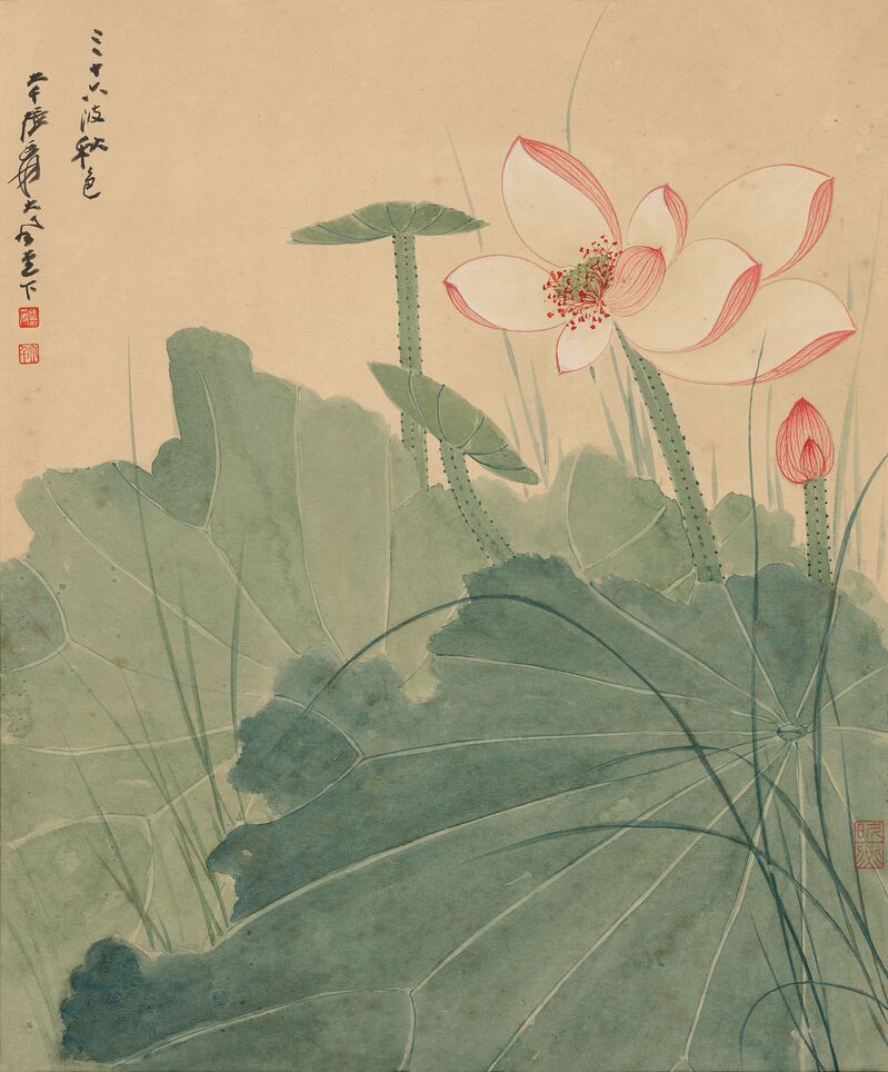荷花图预览图