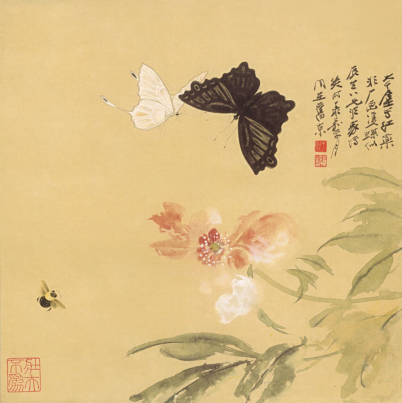 蝴蝶图预览图