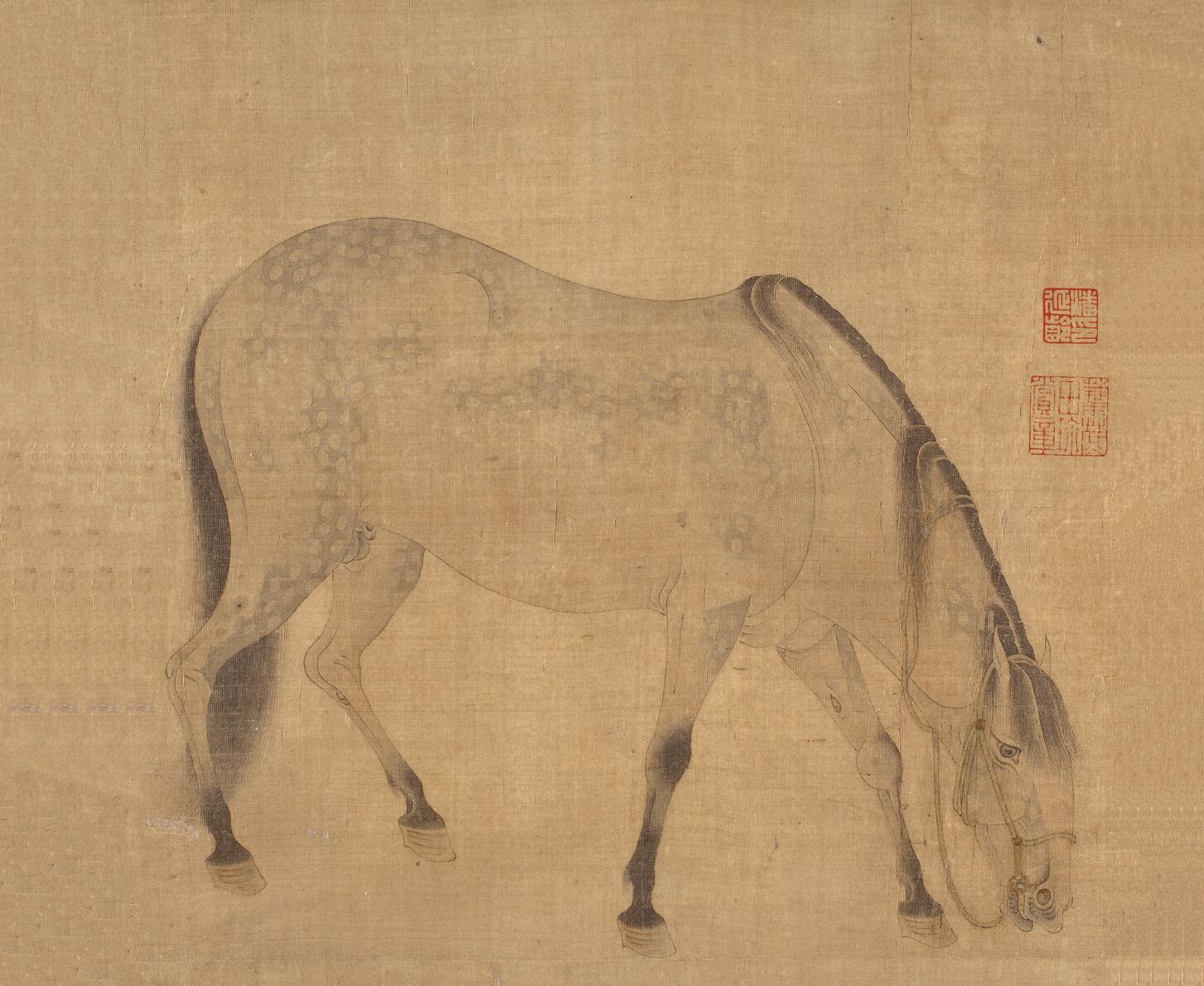 马图预览图