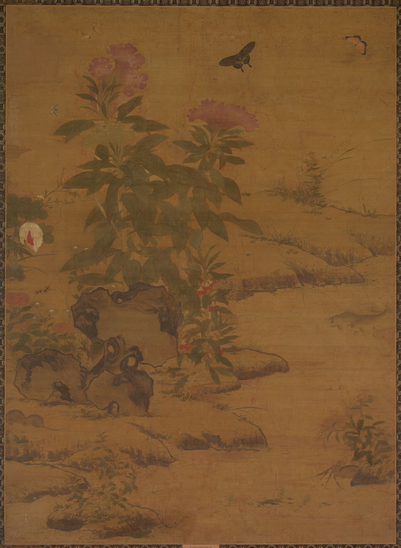 蝶花图预览图