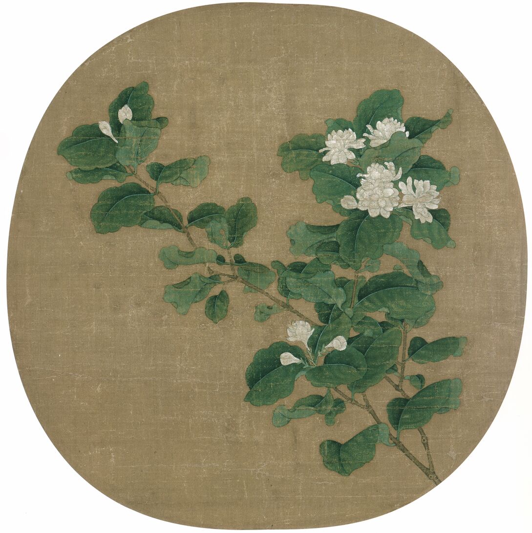 茉莉花图预览图