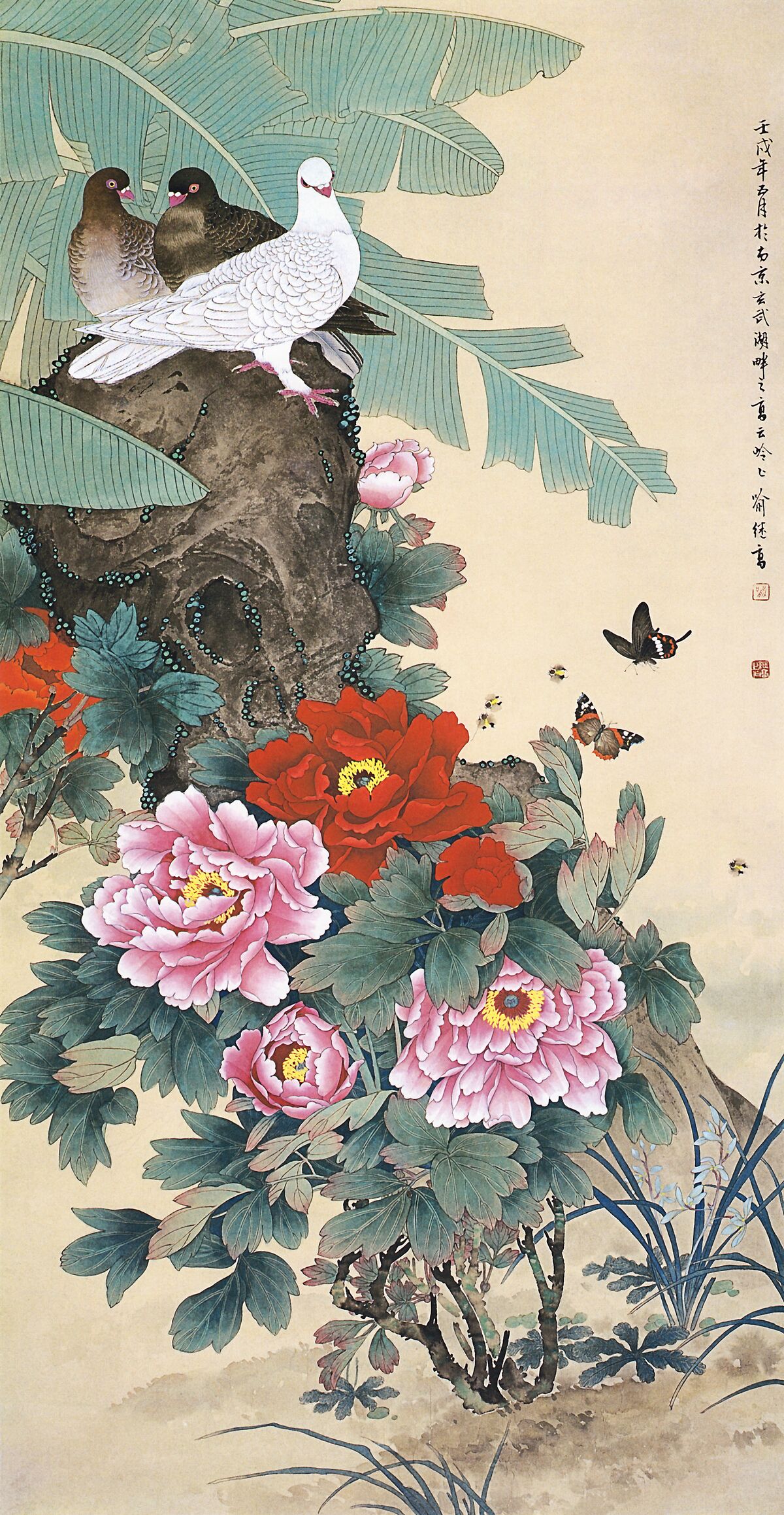 蕉林絮语缩略图