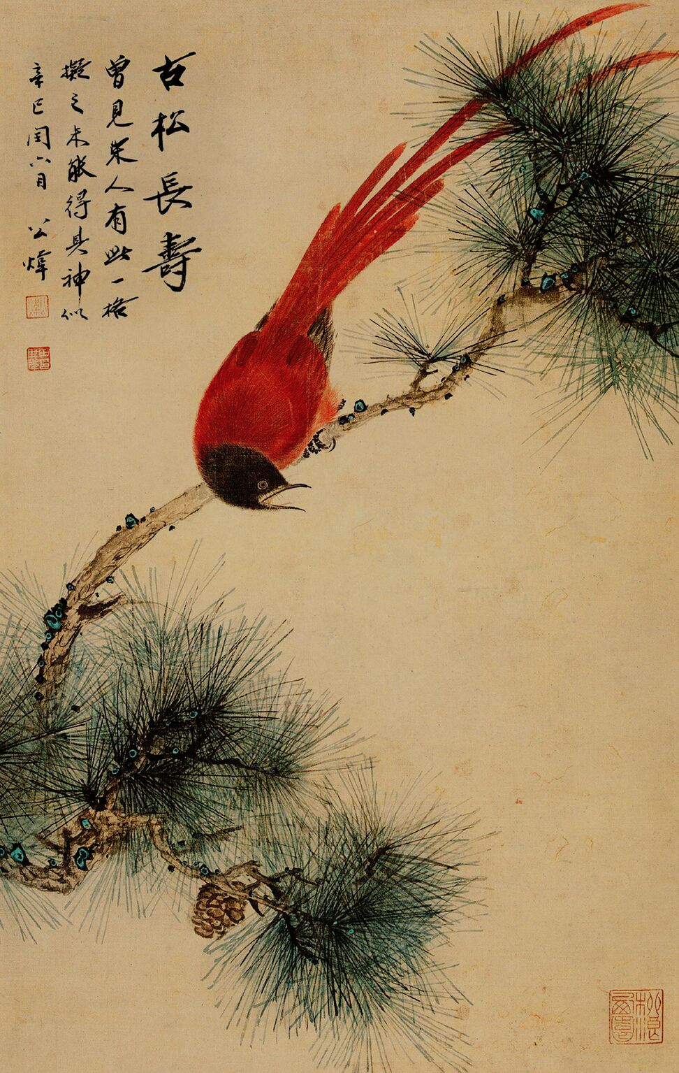 古松长寿预览图
